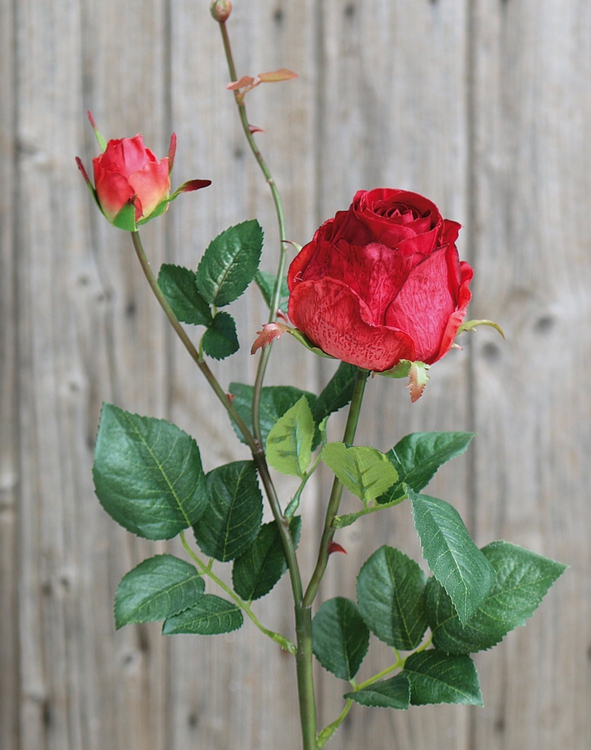 2628 444 a3 Искусственная роза, 1 цветок, 1 бутон, 80 см, красная H-andreas 