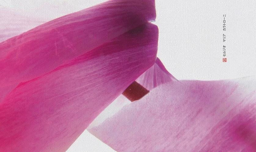 N.O.W. Edizioni Виниловые или стекловолоконные обои Petals from tokyo sun-id-1346615 - Вид №1