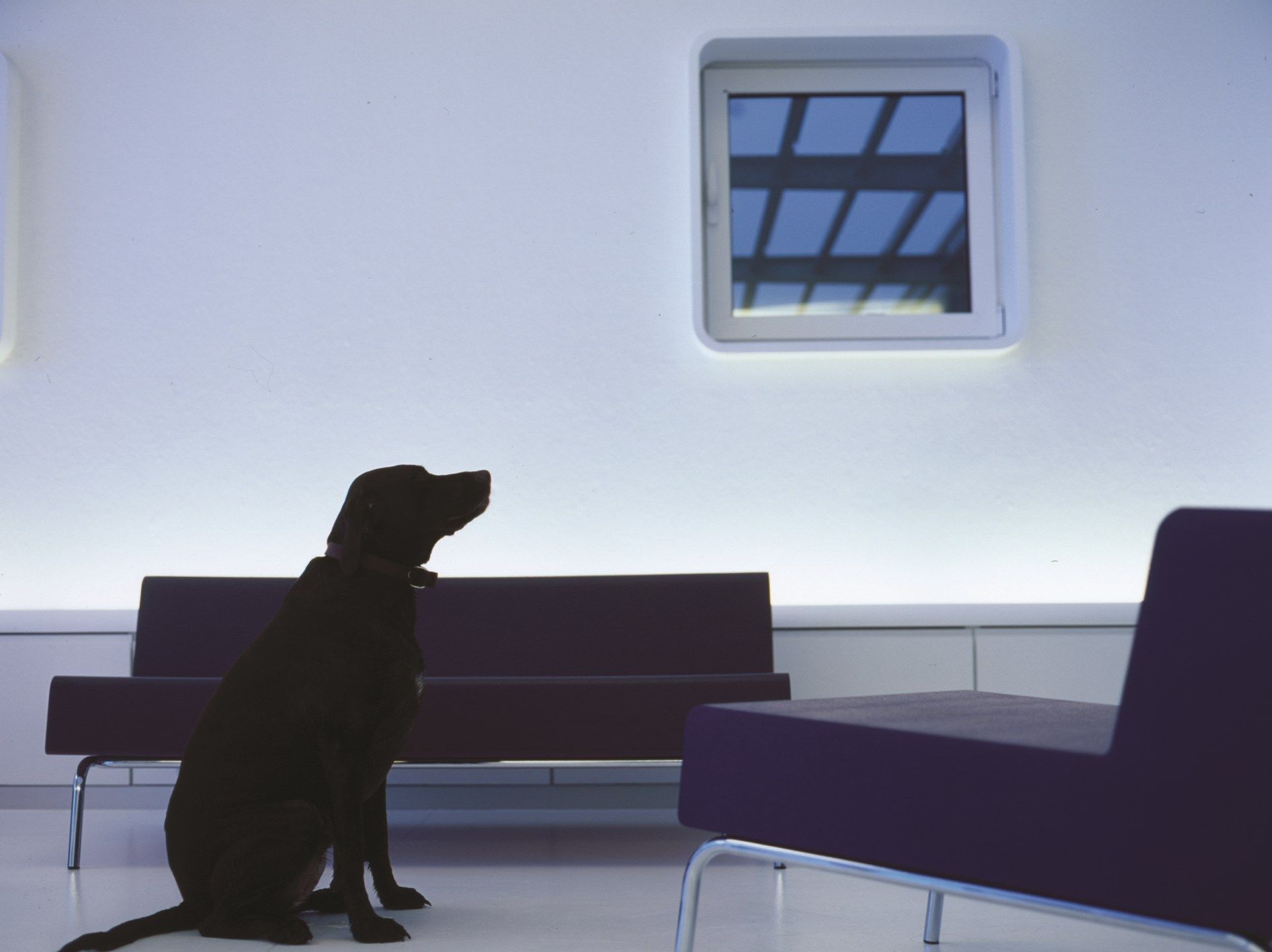 Диван из пены QM Quinze & Milan Каркас ARCH-00095317 - Вид №1