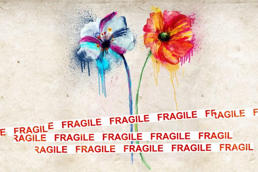 MOMENTI Авторский художественный принт Crazy home paintings Cff-004 - Вид №1