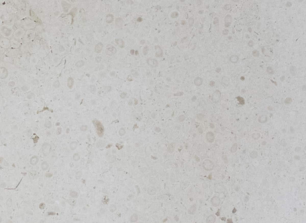 Мраморная овальная ванна в центре комнаты COCOON Maison ARCH-00047825 - Вид №33