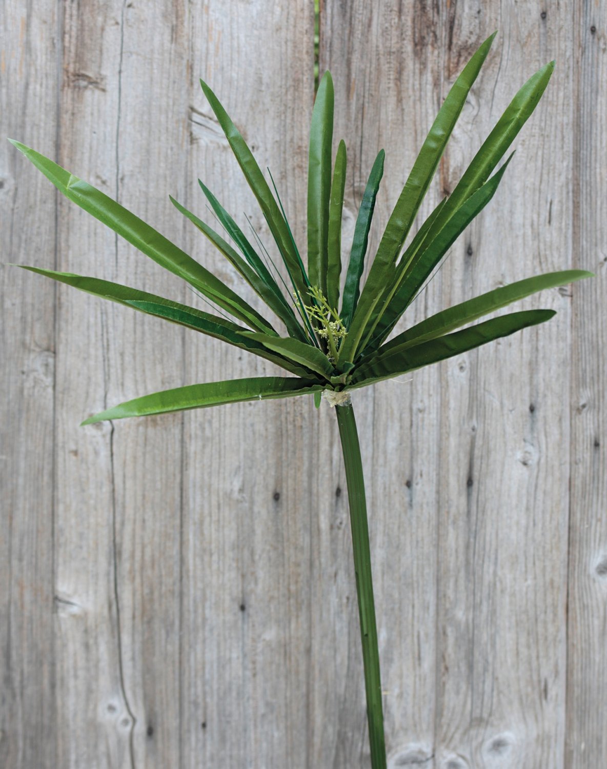 4813 883 a2 Искусственный орех, 150 см, зеленый H-andreas  - Вид №2