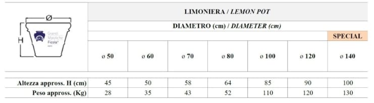 Украшенный терракотовый лимоньер Grandi Maioliche Ficola ARCH-00047617 - Вид №2