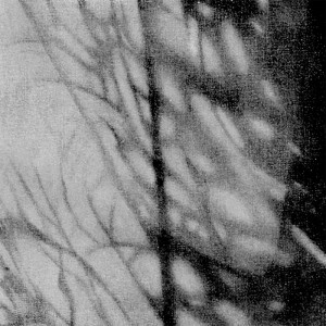 0915/CX38 Картина 0915 Adriani e Rossi