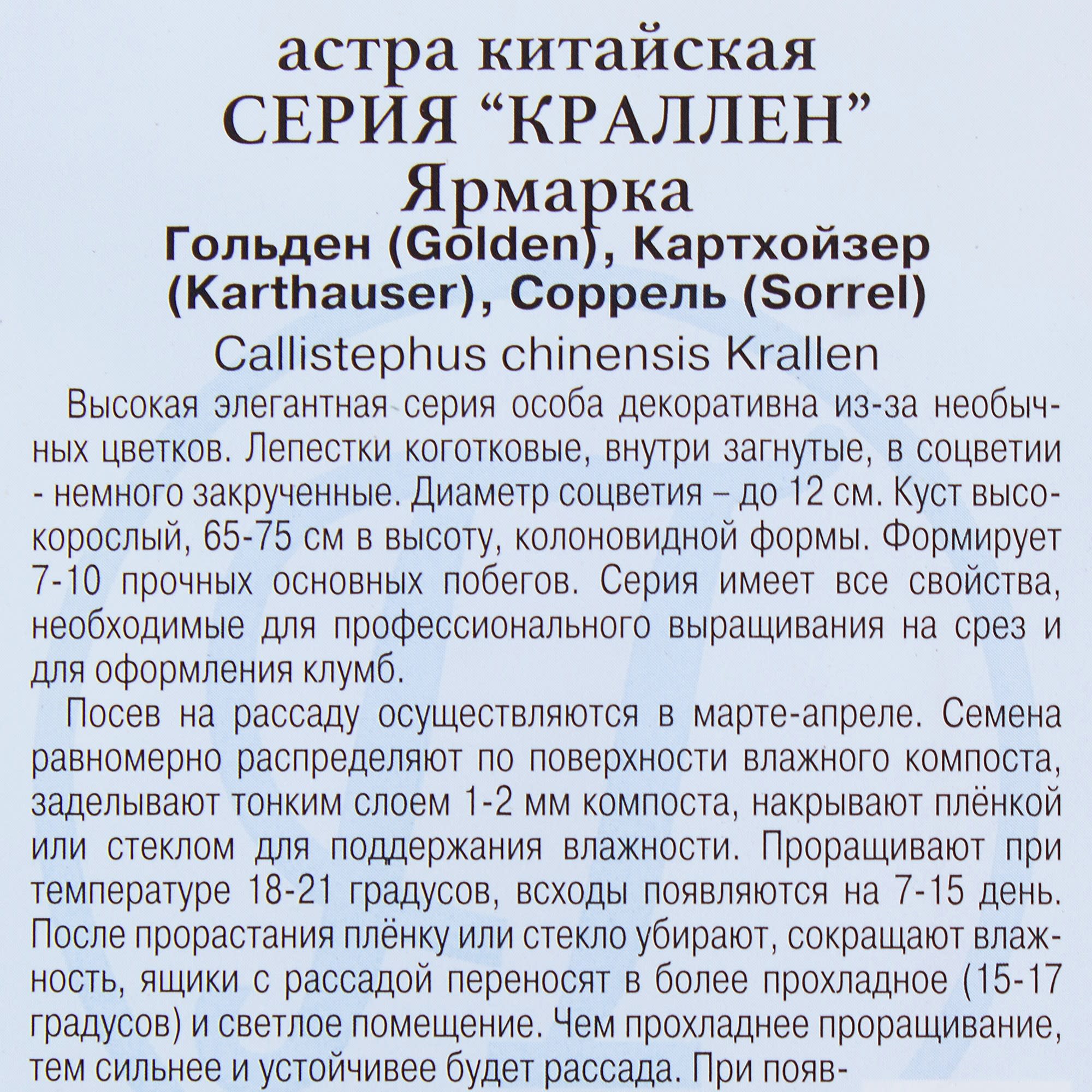 81931597 Астра «Краллен» смесь, ярмарка Santreyd  - Вид №2