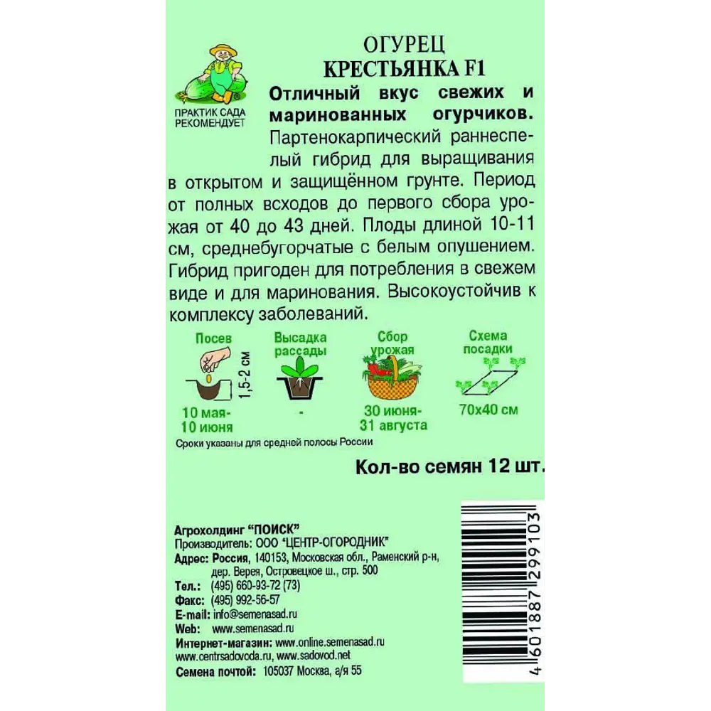 Семена огурца «Крестьянка» F1 от ПОИСК — ранний урожайный гибрид 83123510 STLM-1563850 - Вид №1