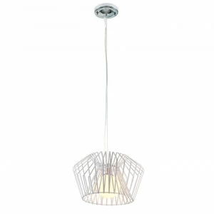 Дизайнерский подвесной светильник Spot Light Cage 9504102 SPOT LIGHT ДИЗАЙНЕРСКИЕ 101981 Белый