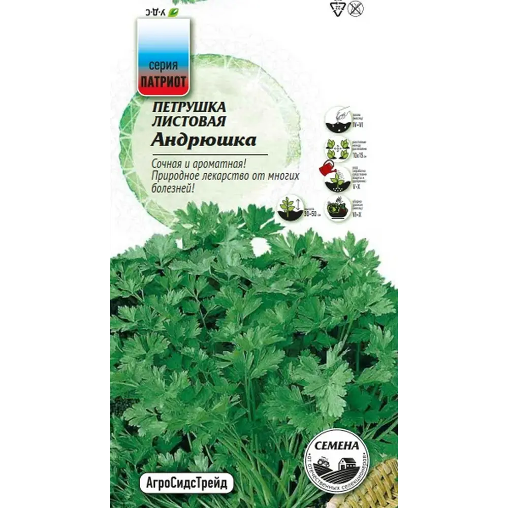 Семена зелени Агросидстрейд Патриот петрушка листовая Андрюшка STLM-2020743 - Вид №2