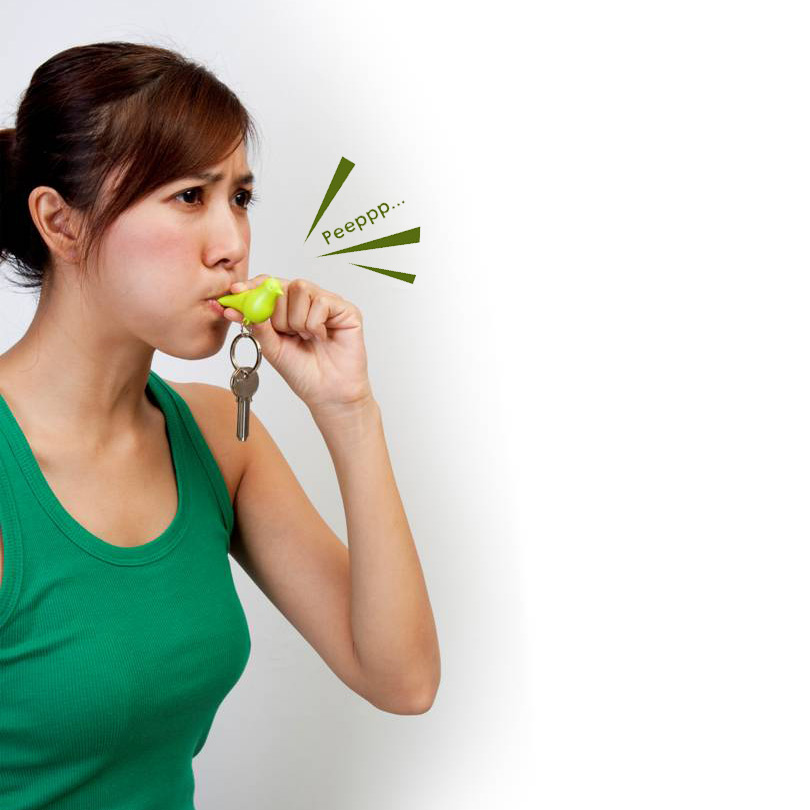 QL10091-WH-GN Держатель для ключей sparrow белый-зеленый Qualy  - Вид №1