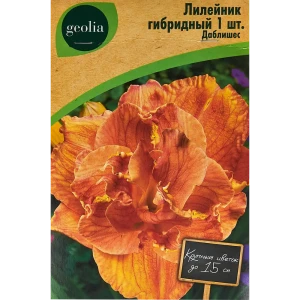 Лилейник Geolia гибридный Даблишес 86408693 STLM-2206569