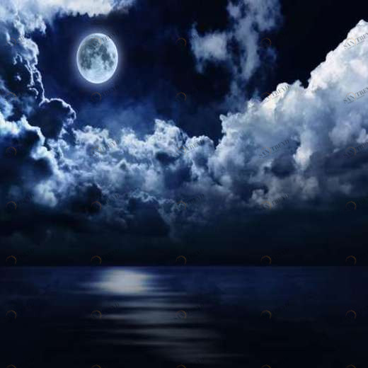 WP01753 Фотообои Verol Фотообои decoline 1х1 м