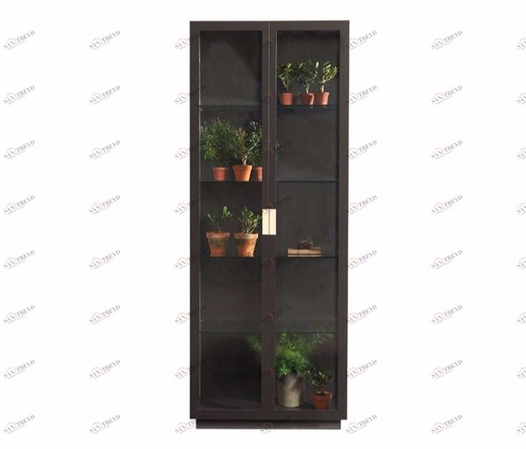 ASPLUND Витрина из лакированного металла Frame sun-id-1454119