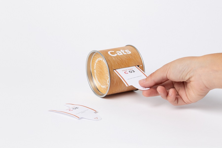 DYNEWCAEN Набор «Узнай что-то новое о кошках» Doiy  - Вид №3