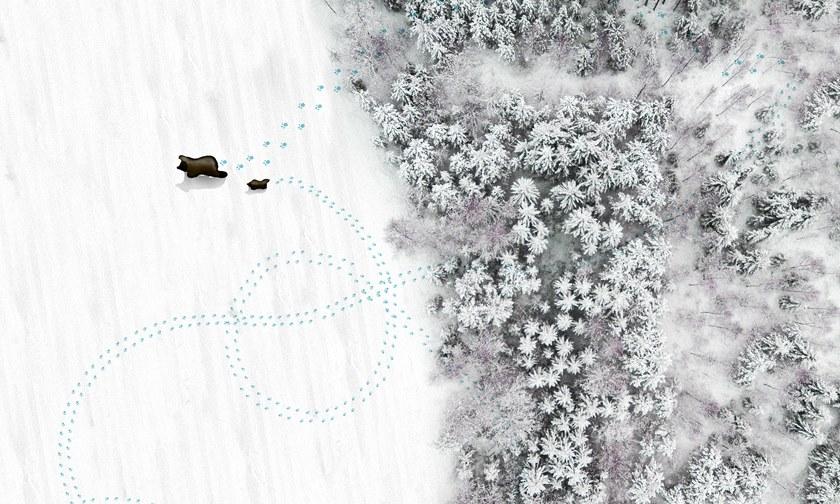 Wall&decò Обои для ванной Wet system 20 Wet_go2001 / wet_go2002 - Вид №1