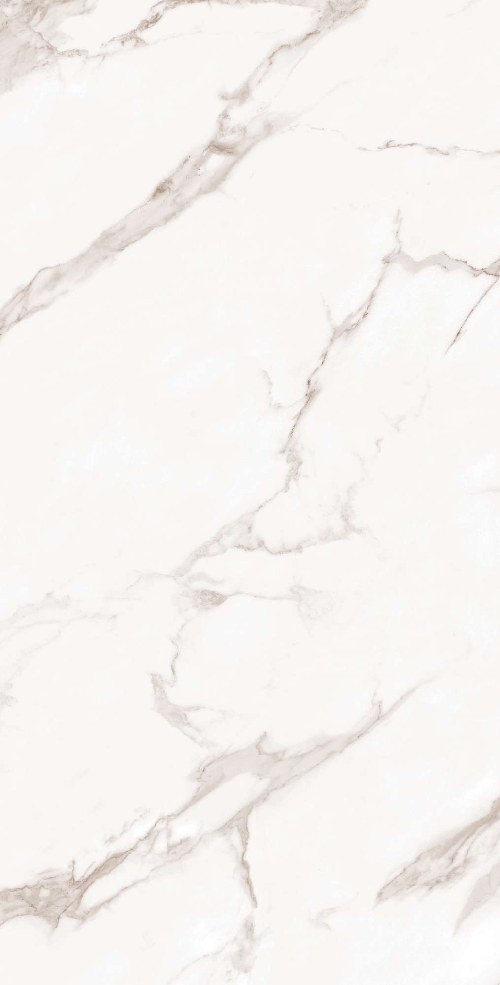 CALACATTA BIANCO ARCADIA CERAMICA FP1019-A - Вид №7