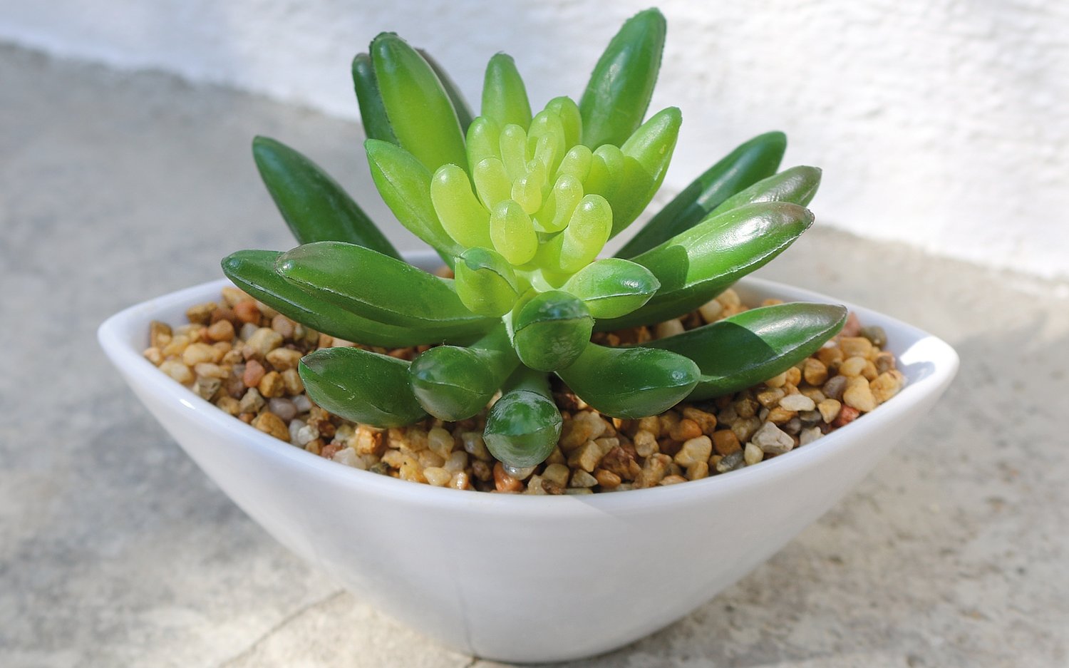 6334 883 a3 Очиток искусственный в керамическом горшке, 9см, зеленый H-andreas  - Вид №5