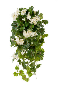 20.1090CR Герань ампельная кремовая Цветочная коллекция