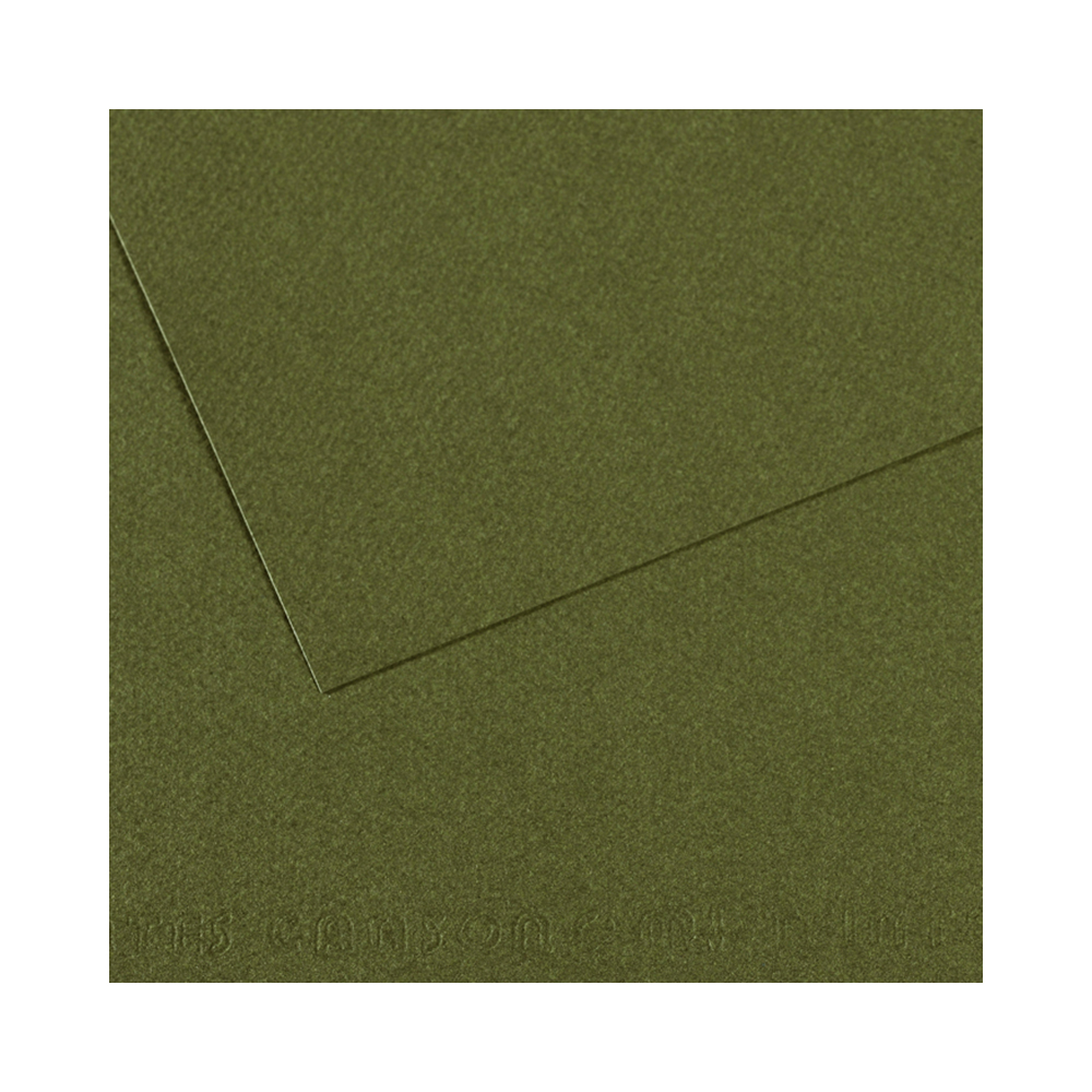 200331457 Бумага для пастели Mi-Teintes 160 г/м2 75 х 110 см лист №448 плющ Canson 