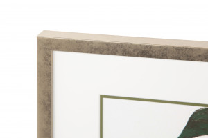 2000983162151 Постер Monstera COSMO RED