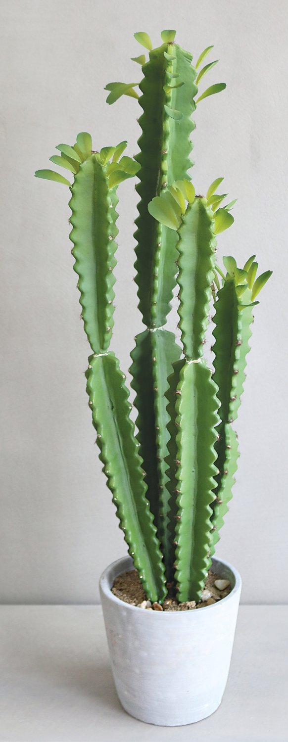 6062 883 a3 Молочай искусственный тригона, горшечный, 71 см, зеленый H-andreas  - Вид №4