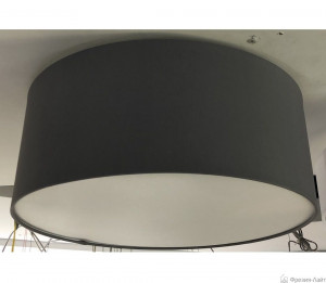 Orion DL 7-639/40 +schirm 7-639/40 Grau потолочный светильник