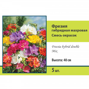 83597218 Фрезия гибридная махровая микс луковица 5/6
