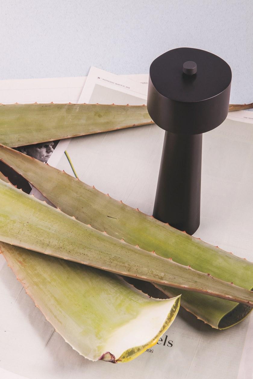 valerie_objects Мельница для перца в абс  V8018008  - Вид №6