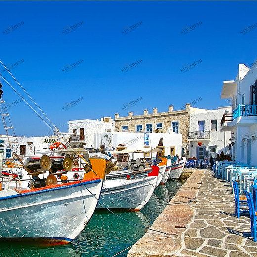 C1-128 Фотообои DIVINO Collection C 2.7х3 м C1128