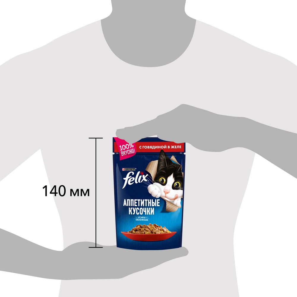 ПР0016273 Корм для кошек Аппетитные кусочки с говядиной в желе, пауч 85 г FELIX  - Вид №9