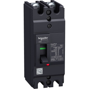 EZC100H2100 Силовой автомат EZC 100, TM-D, 30кА, 2P, 100А Schneider Electric EasyPact