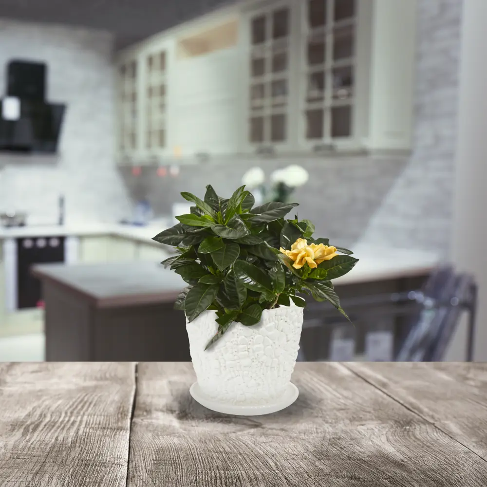 Керамический цветочный горшок Santreyd Камешки для комнатных растений 84450904 STLM-0050239 - Вид №3