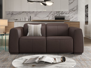 2-местный кожаный диван