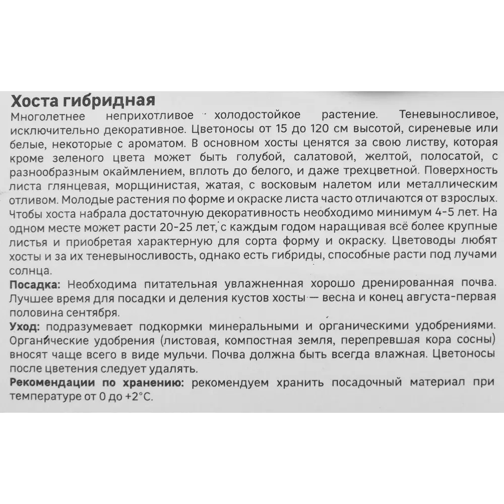 Хоста гибридная Канадиан Блу 86408586 STLM-2038356 Santreyd  - Вид №3