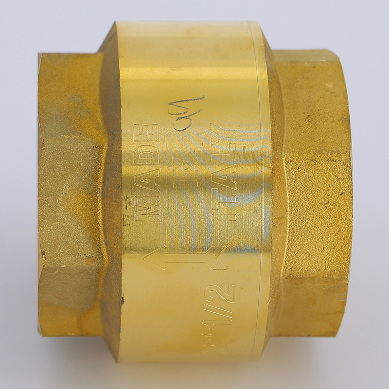 Клапан обратный пружинный EURA EXPORT с пластиковым затвором F.I.V. 2"1/2 FIV 08030212 - Вид №2