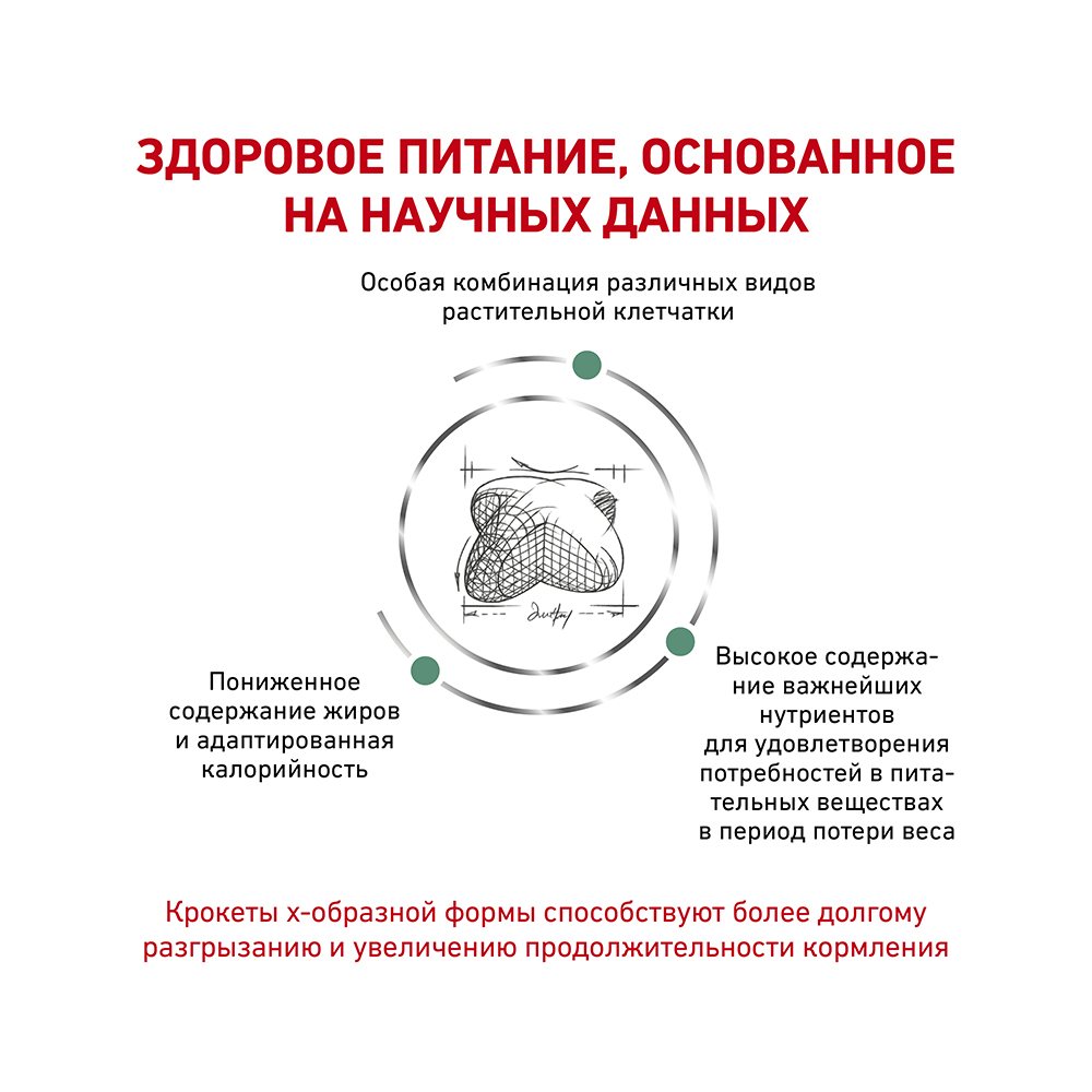 УТ0005720 Корм для собак Vet Diet Weight Management CAT30 при ожирении (стадия 1) сух. 12кг ROYAL CANIN  - Вид №3