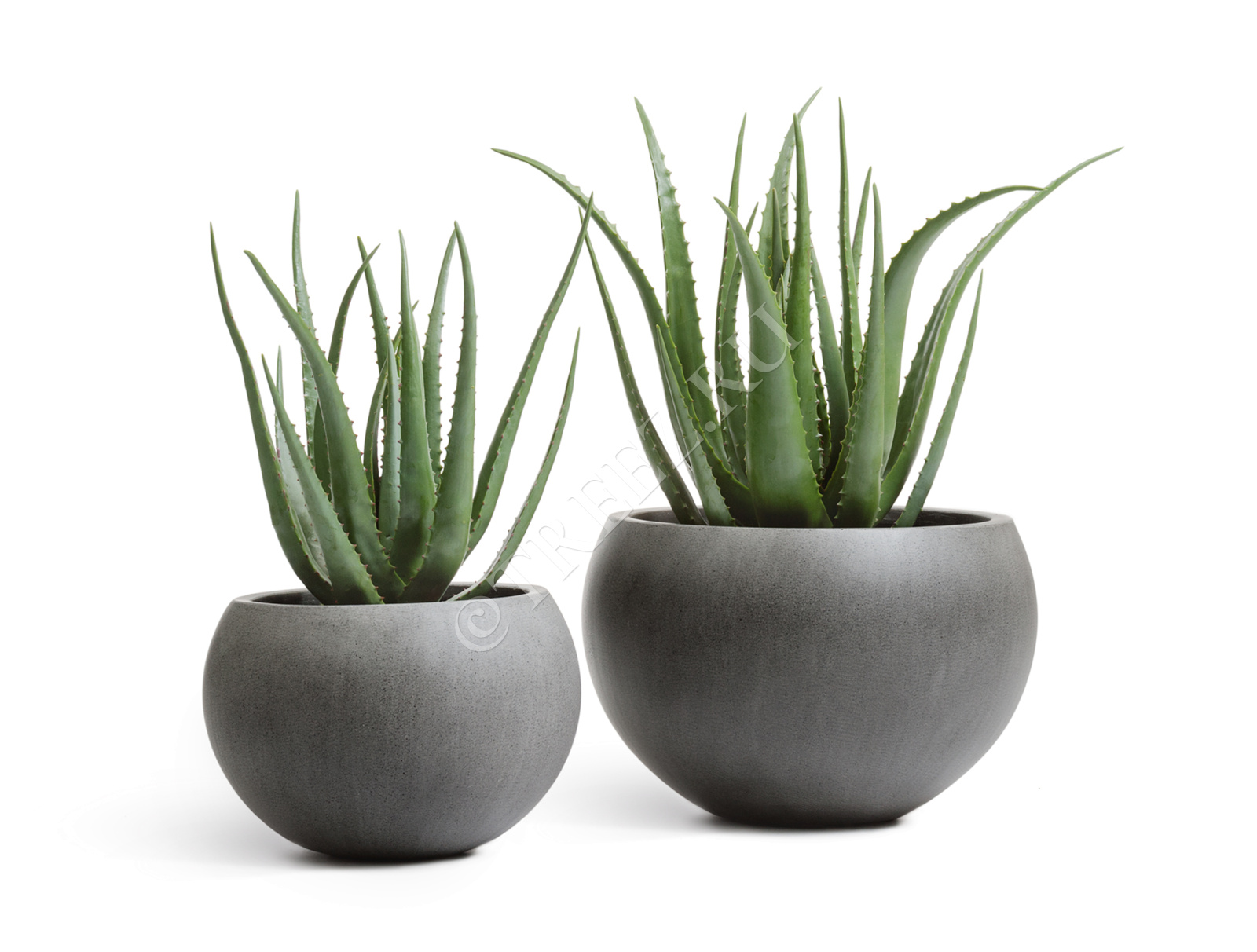 41.3318-02-018-GR-22 Кашпо  Effectory - серия Beton - Полусфера - Тёмно-серый бетон Цветочная коллекция  - Вид №4