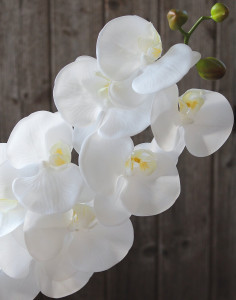 2800 777 a3 Искусственная орхидея Phalaenopsis, 98 см, real touch soft, белая H-andreas