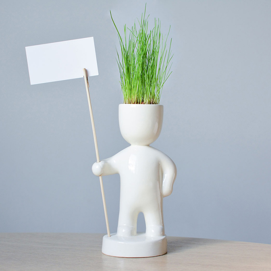 ЕСO-1-17 Набор для выращивания eco знаменосец Экочеловеки 