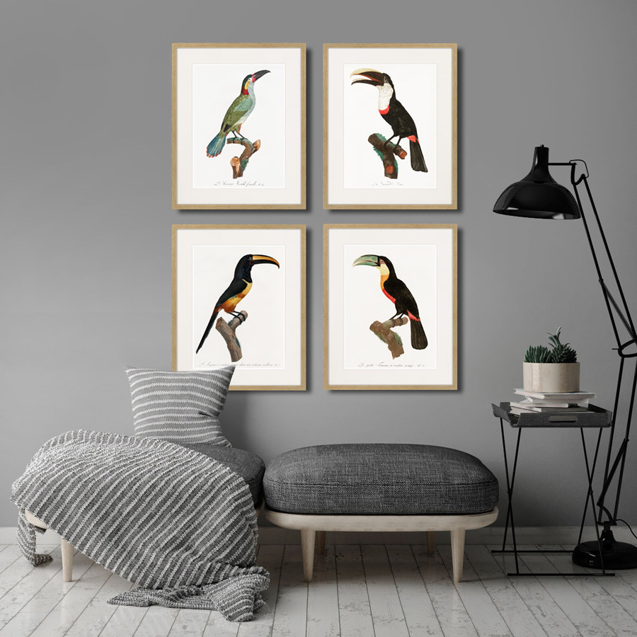 Картина: Beautiful toucans №2, 1806г. КАРТИНЫ В КВАРТИРУ  264322 Разноцветный  - Вид №2