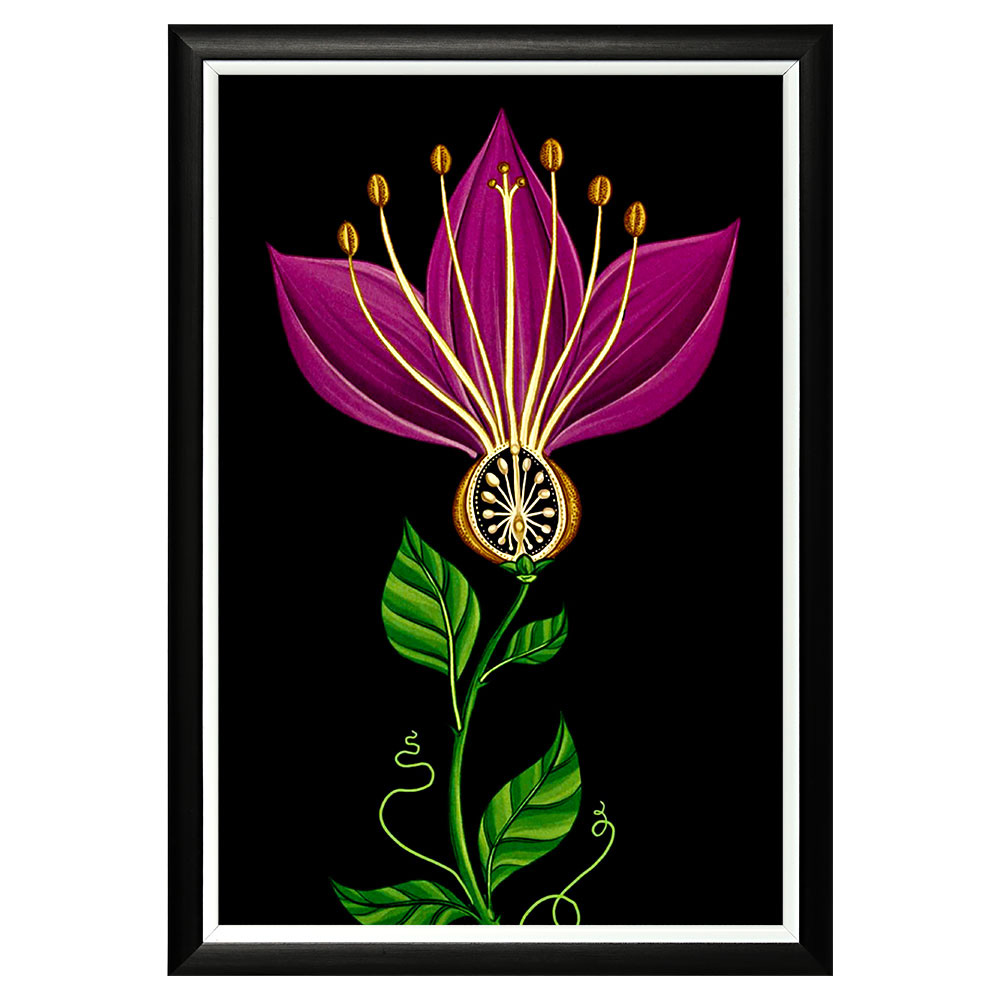 896518679_1818 Арт-постер "Pretty Exotic / Ночь" Object Desire 