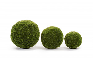 2000983190048 Шар из мха диаметр 50 SERAX