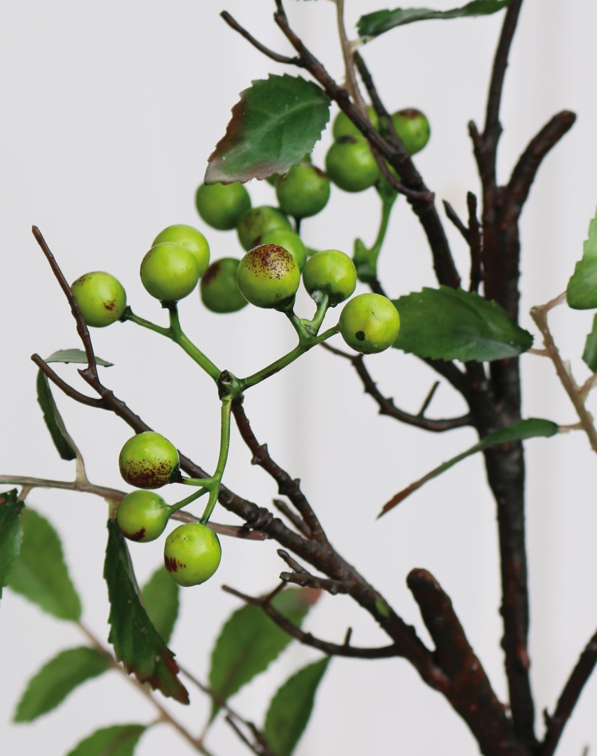 1552 883 a3 Спрей шелк ягодный, 106 см, зеленый H-andreas  - Вид №4