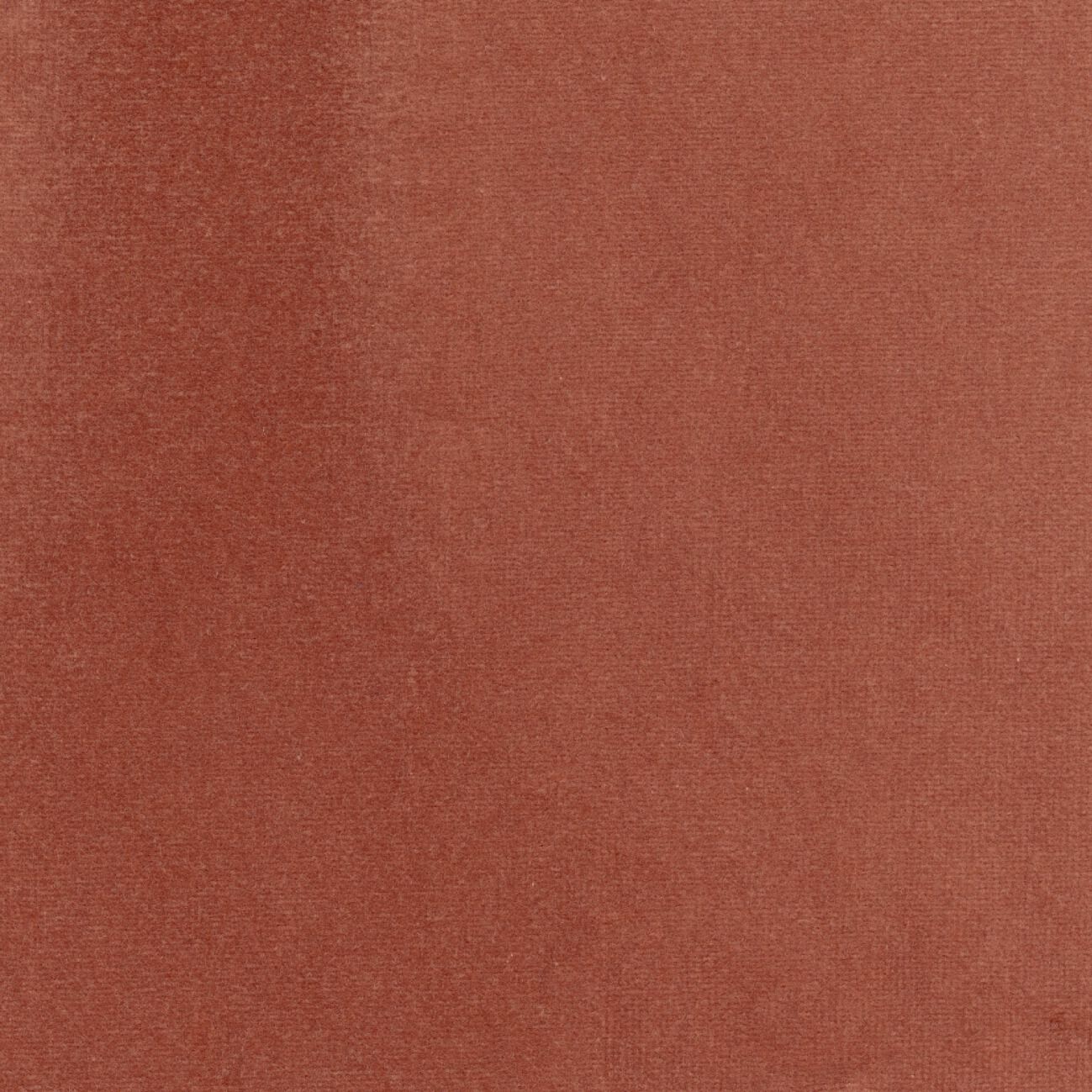 Бархатная однотонная ткань Élitis Palatine ARCH-00143253 - Вид №25