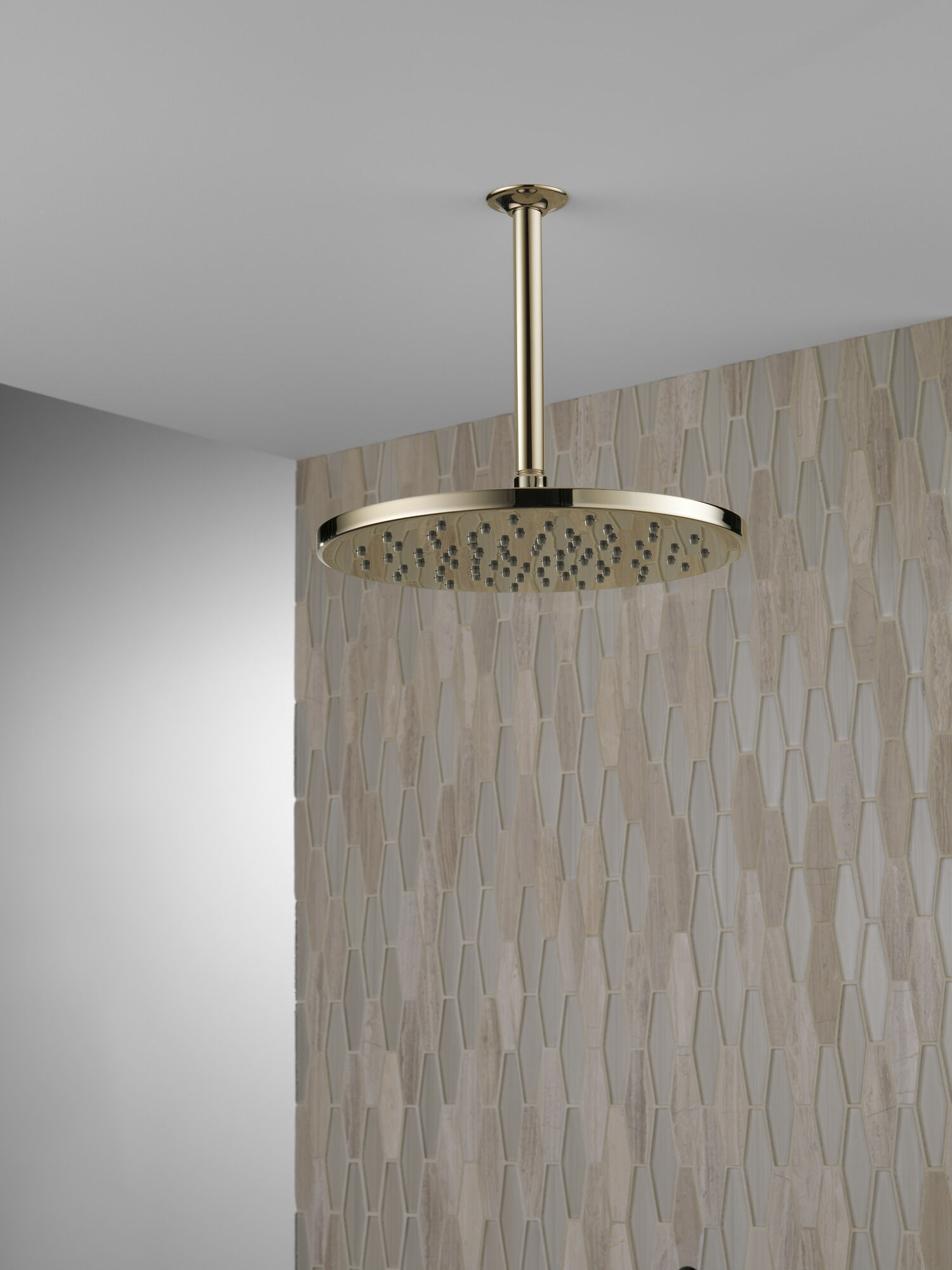 52158-PN Металлическая душевая лейка Raincan с одинарной настройкой Delta Faucet Universal Showering Полированный никель  - Вид №2