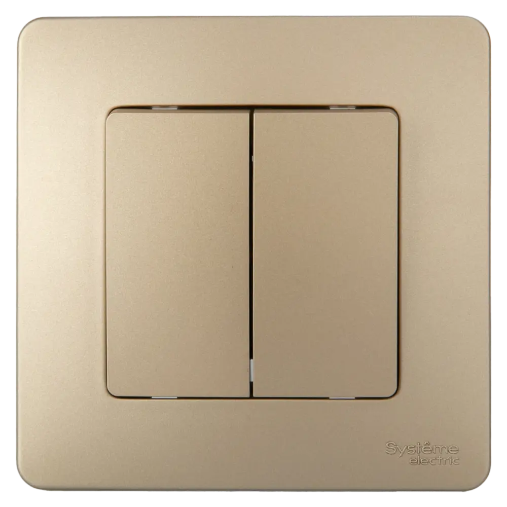 Выключатель встраиваемый Systeme Electric Blanca 2 клавиши цвет титановый STLM-2054042 - Вид №1