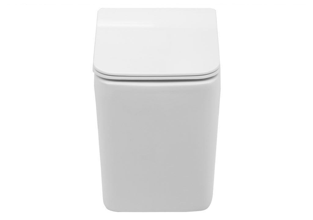 BL103NFST Приставной унитаз напольный Белый Aquanet TAVR Китай - Вид №11
