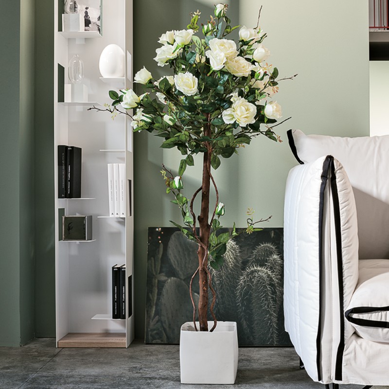 L131X7 Роза Регия Adriani e Rossi белый 