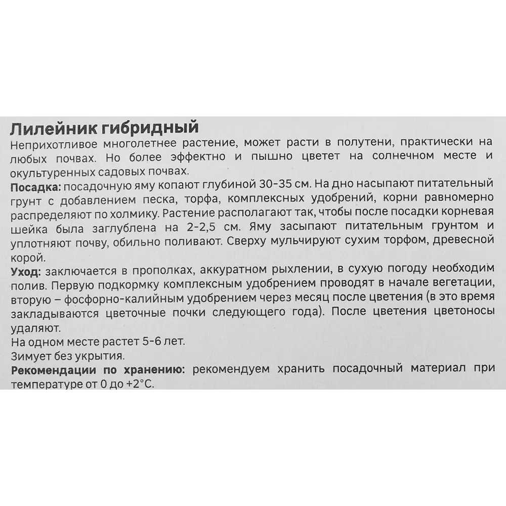 Лилейник Geolia гибридный Лонгфилдз Блэкмэджик 86408701 STLM-2130122  - Вид №3