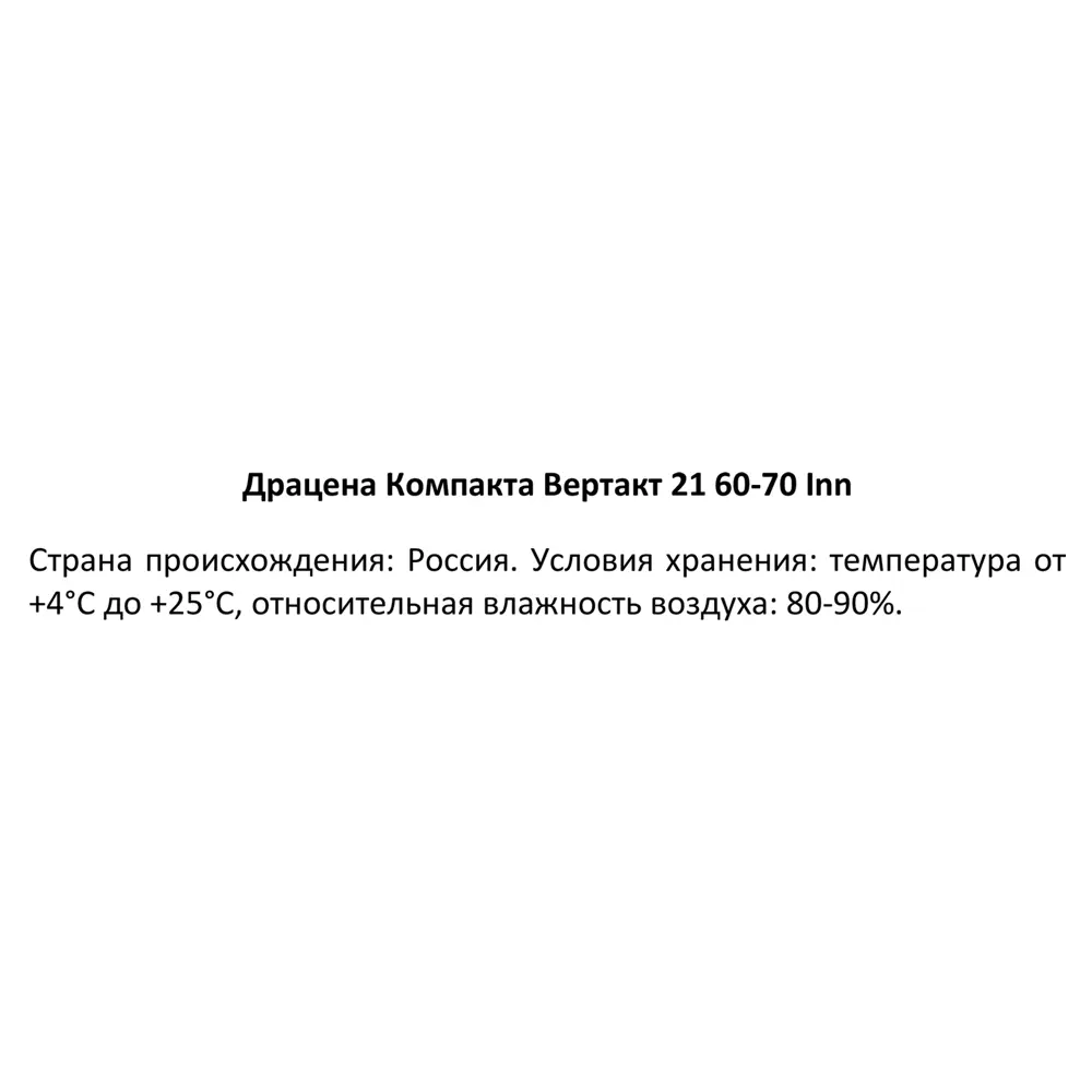 Драцена Компакта Santreyd — изящное комнатное растение для чистого воздуха 87819513 STLM-0953974 - Вид №3