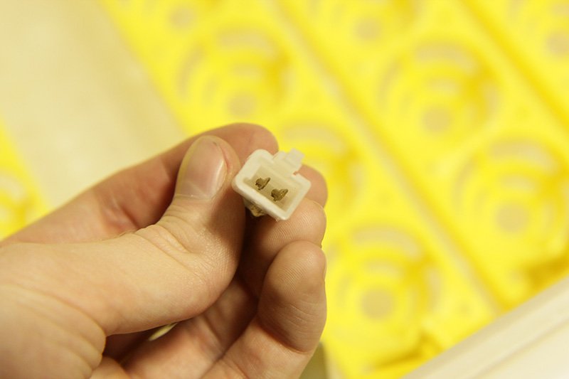 2009 Инкубатор для яиц автоматический АИ-48АВ LAB.Space  - Вид №6